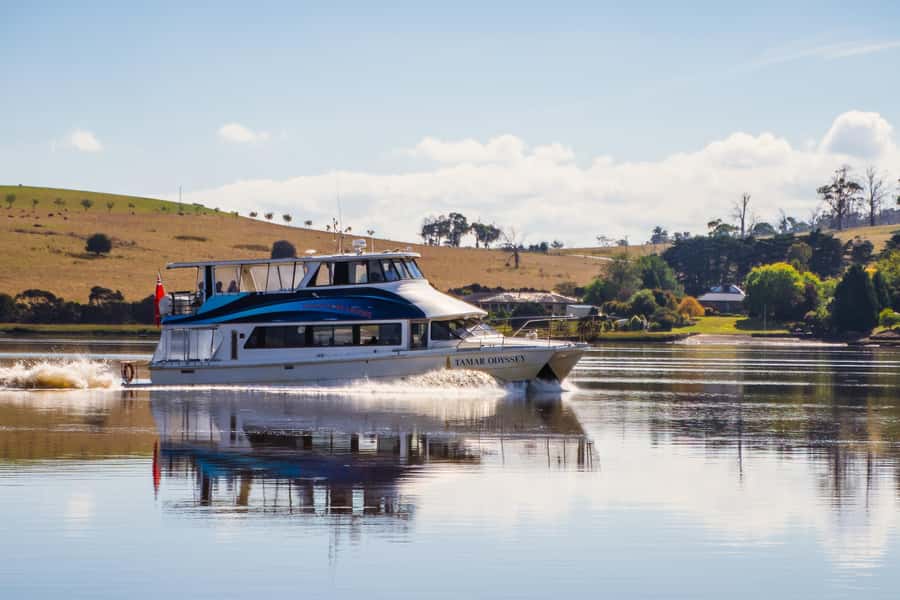 Launceston: 4-Hour Batman Bridge Luncheon Cruise - Key points to know before booking