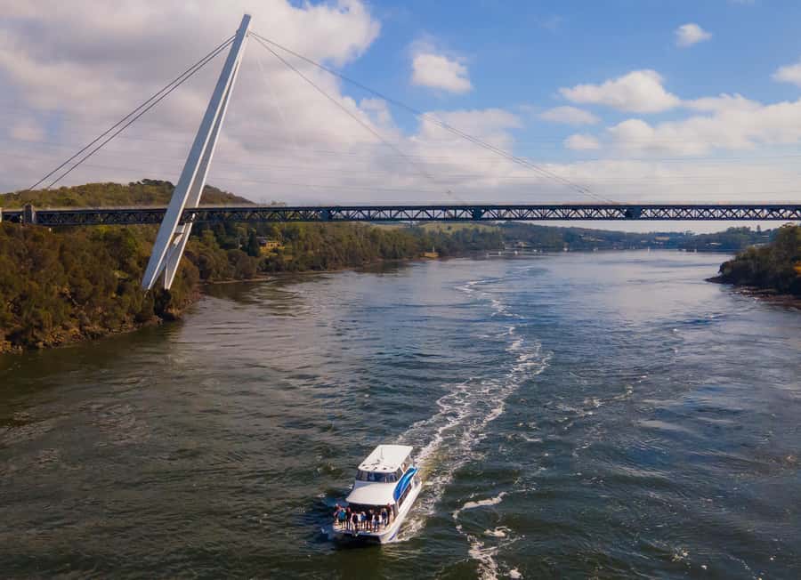 Launceston: 4-Hour Batman Bridge Luncheon Cruise - A changing view from farms to vineyards