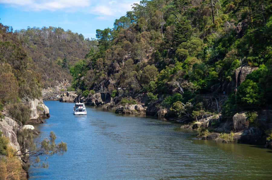 Launceston: 4-Hour Batman Bridge Luncheon Cruise - Passing beneath Batman Bridge