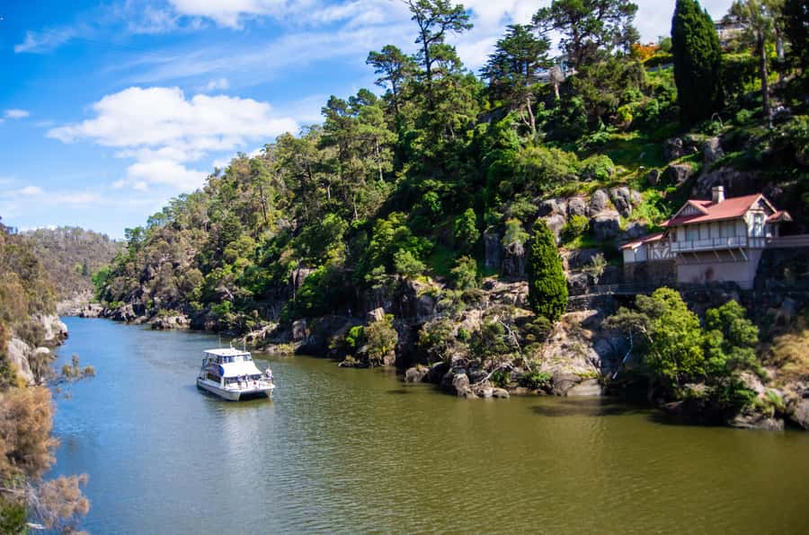 Launceston: 4-Hour Batman Bridge Luncheon Cruise - Lunch, cheese, wine, and beer