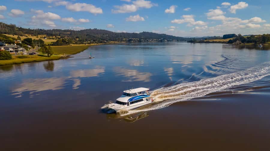 Launceston: 4-Hour Batman Bridge Luncheon Cruise - Is $126 good value?