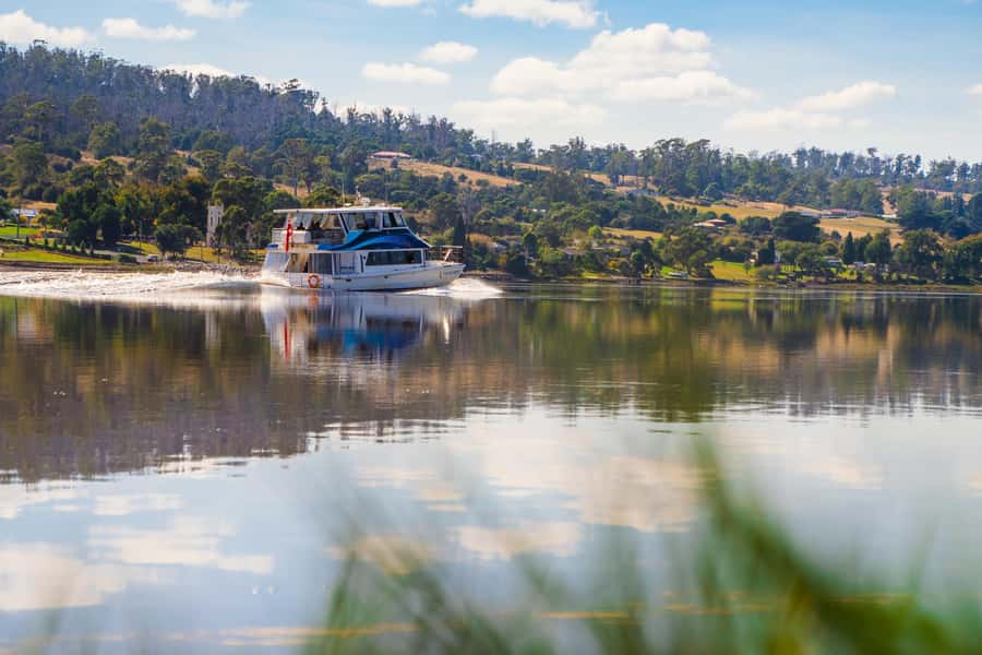 Launceston: 4-Hour Batman Bridge Luncheon Cruise - Launceston’s riverfront and the Tamar Island route