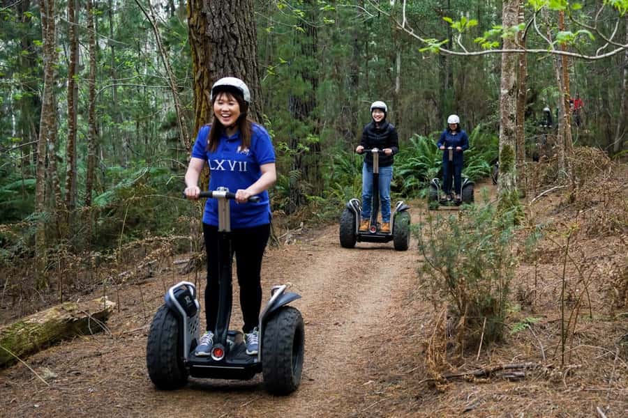 Launceston: Hollybank Forest Guided Segway Tour with Photos - Easy tracks before more testing ground