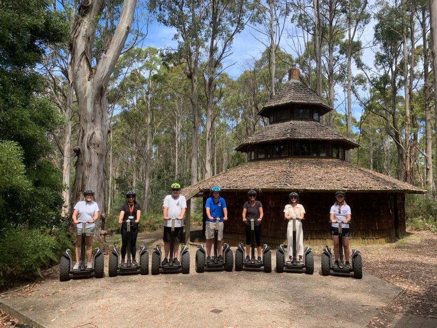 Launceston: Hollybank Forest Guided Segway Tour with Photos - Photos you can keep after the ride