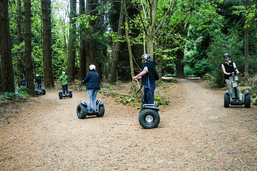 Launceston: Hollybank Forest Guided Segway Tour with Photos - The first minutes: training and safety