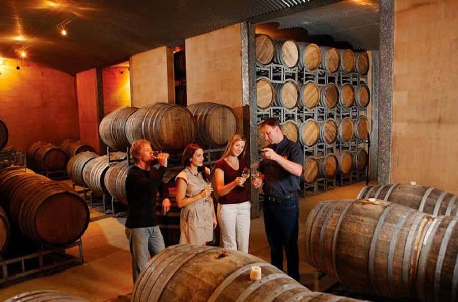 Launceston: Tamar Valley Wine Tour with Lunch - Why Tamar Valley wine is worth your day