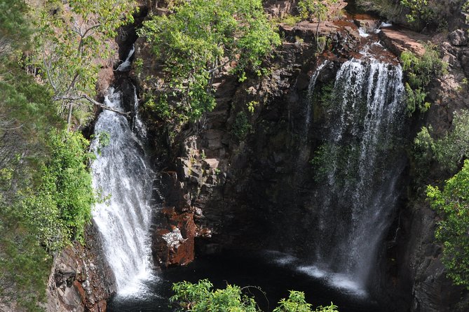 Litchfield and Jumping Crocodiles Full Day Trip from Darwin - Why this Darwin day trip works
