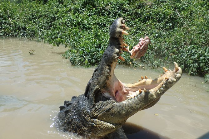 Litchfield and Jumping Crocodiles Full Day Trip from Darwin - The long road is part of the bargain