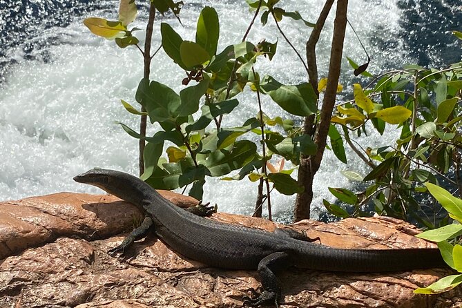 Litchfield & Berry Springs VIP Adventure Day Tours (group of 11) - What the guides add to the day
