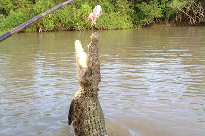 Litchfield National Park and Jumping Crocodile Cruise - A full-day schedule that works best with the right expectations
