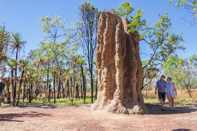 Litchfield National Park Day Tour from Darwin - The coach makes access simple, but the day is not intimate