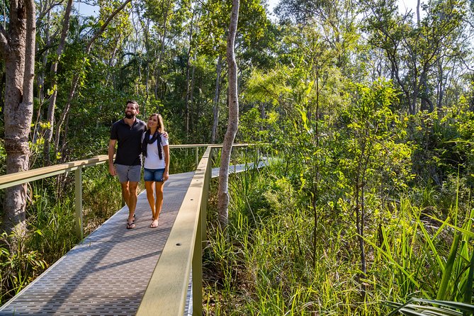 Litchfield National Park Day Tour from Darwin - Tolmer Falls brings height and rare bats
