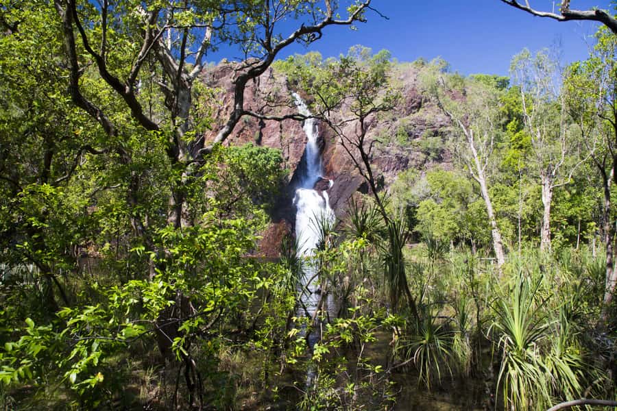 Litchfield National Park: Full-Day & Lunch from Darwin - Lunch: useful fuel, not a food-focused outing