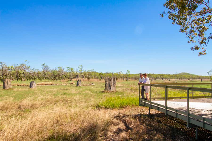 Litchfield National Park: Full-Day & Lunch from Darwin - The road from Darwin to the Tabletop Range
