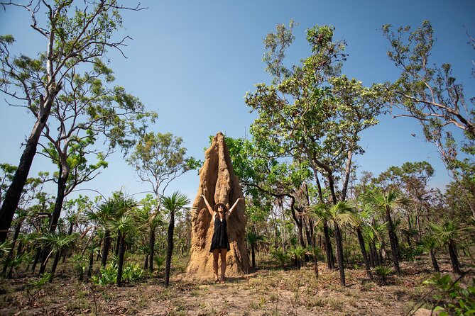 Litchfield National Park Tour with Wetlands or Crocodile Cruise - Why Litchfield works so well as a day trip from Darwin