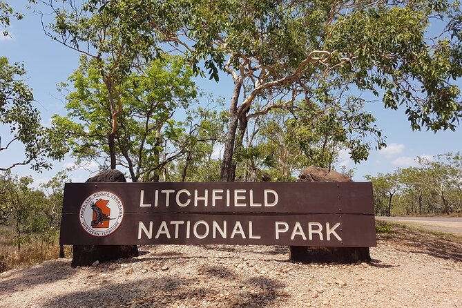 Litchfield National Park Tour with Wetlands or Crocodile Cruise - Magnetic termite mounds explain the Top End climate