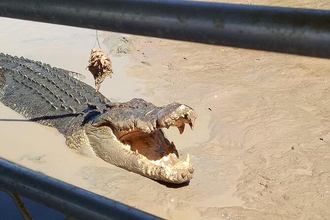 Litchfield National Park Tour with Wetlands or Crocodile Cruise - Wildlife and the value of having a guide