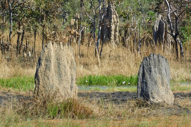 Litchfield Park & Jumping Crocodile Cruise - The crocodile question: read the details carefully