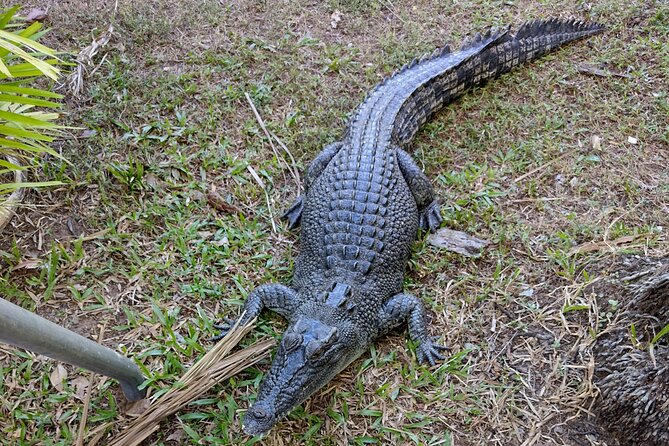 Litchfield Park & Jumping Crocodile Cruise - Florence Falls offers a second water stop