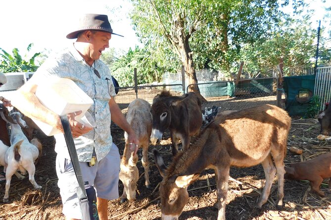 Litchfield Park & Jumping Crocodile Cruise - Batchelor provides a useful pause