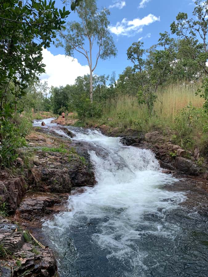Litchfield VIP Tours, Litchfield National Park, Day Tours, - Termite mounds add a surprising final chapter