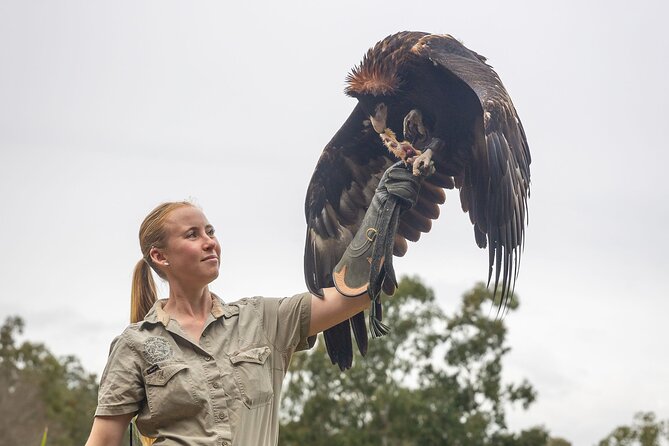 Lone Pine Koala Sanctuary Day Pass - How much time should you allow?