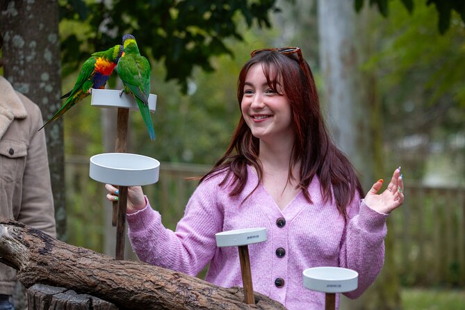 Lone Pine Koala Sanctuary Day Pass - Is the $42.32 admission good value?