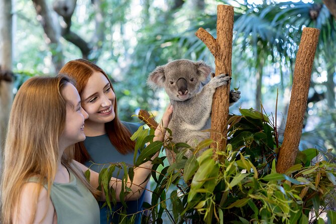 Lone Pine Koala Sanctuary Day Pass - Lorikeets, dingoes, platypus, and other native animals