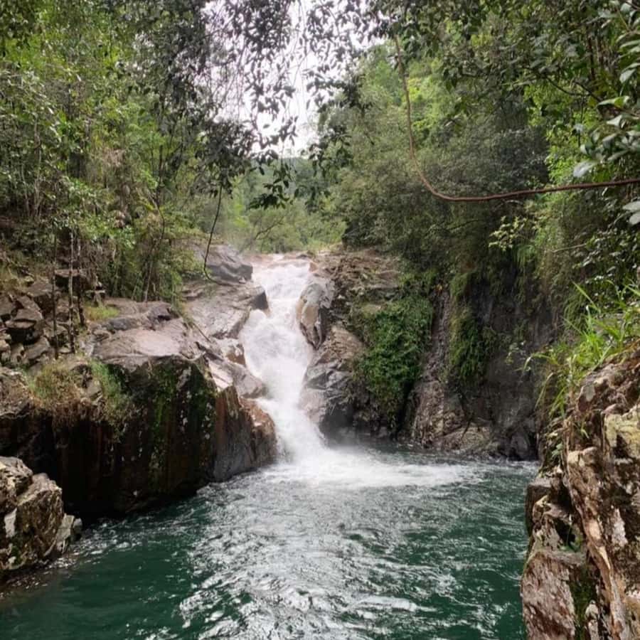 Mackay: Finch Hatton Gorge Hike, Swim & Platypus Adventure - Key points at a glance