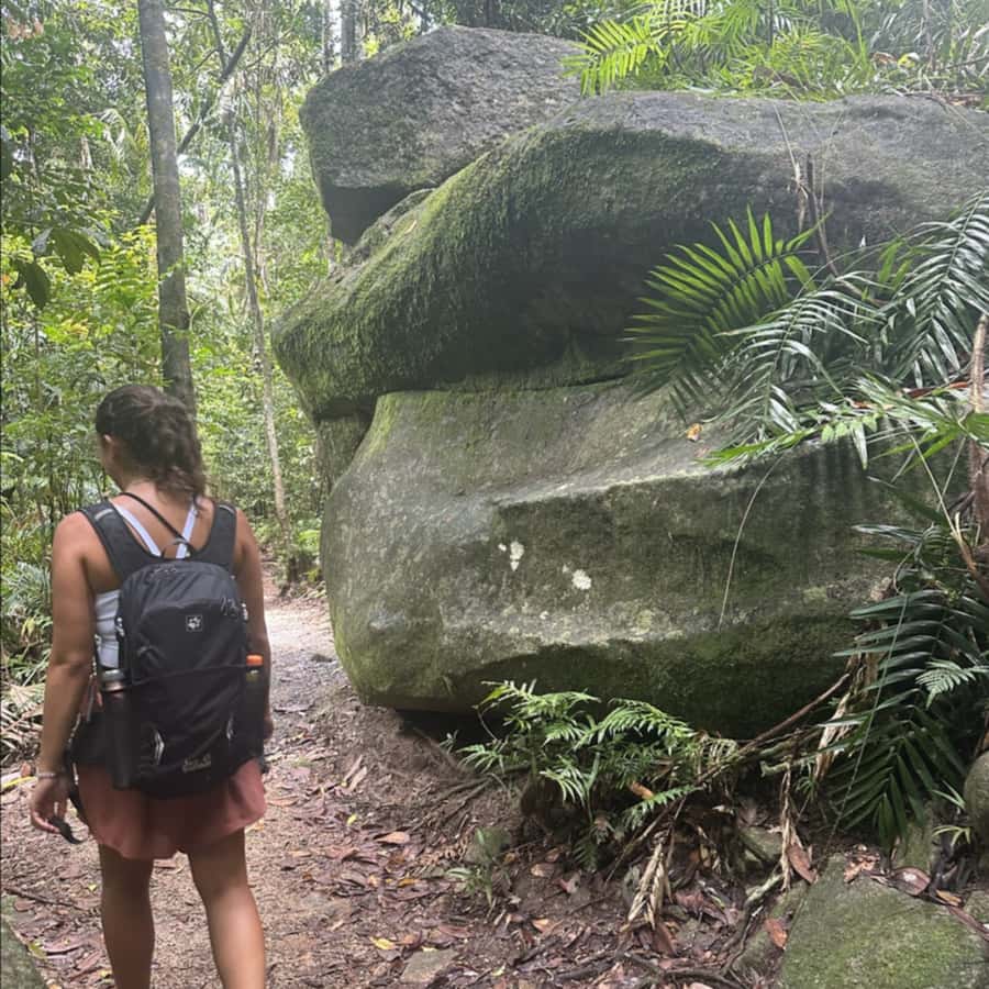 Mackay: Finch Hatton Gorge Hike, Swim & Platypus Adventure - From Mackay through the Pioneer Valley