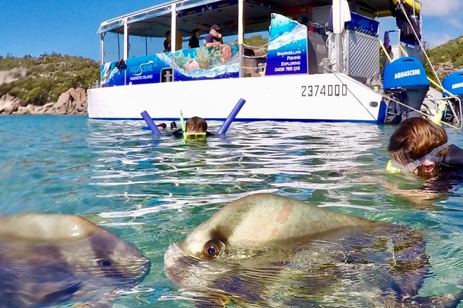 Magnetic Island Discovery Tour with Snorkeling & Paddle Boarding - Seeing Magnetic Island from the sea
