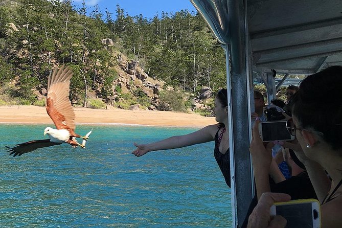 Magnetic Island Discovery Tour with Snorkeling & Paddle Boarding - How the crew shapes the experience