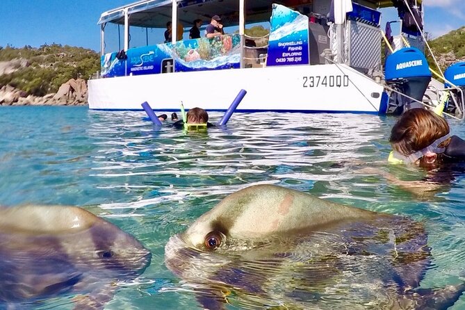 Magnetic Island Discovery Tour with Snorkeling & Paddle Boarding - Is $114.04 good value?