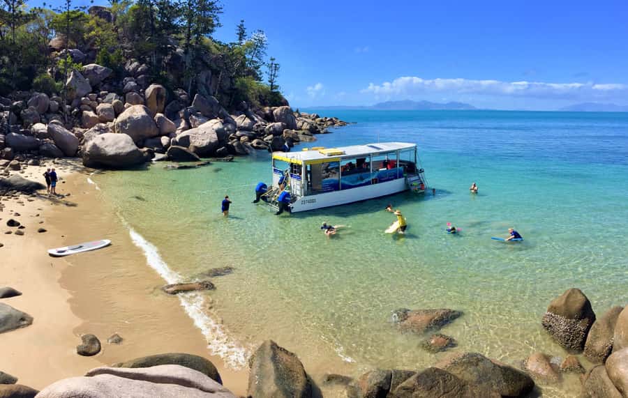 Magnetic Island: Snorkel Discovery Tour - Starting with morning tea and island stories