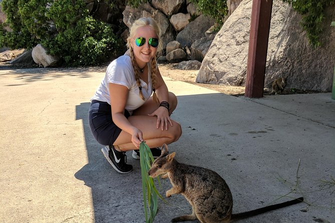 Magnetic Island Tour: Maggie Comprehensive - Key points to know before you book