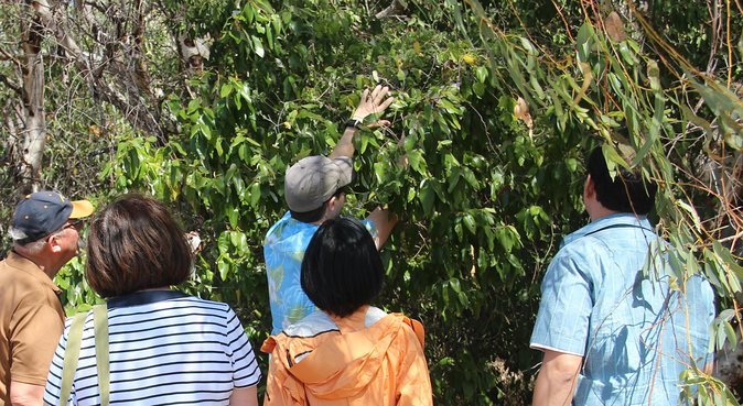 Magnetic Island Tour: Maggie Comprehensive - Who will get the most from Maggie Comprehensive