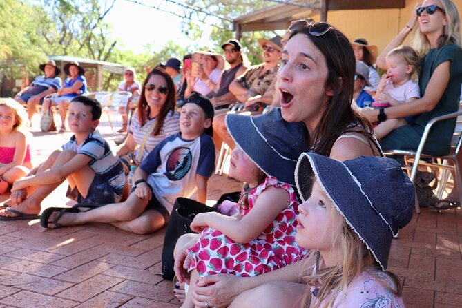 Malcolm Douglas Crocodile Park Tour Including Transportation - Why the crocodiles are the real attraction