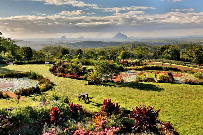 Maleny Botanic Gardens Bird Aviary Experience Ticket - Picnic views and food options