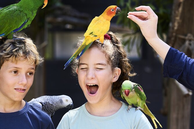 Maleny Botanic Gardens Bird Aviary Experience Ticket - Six kilometres of gardens, lakes, and waterfalls
