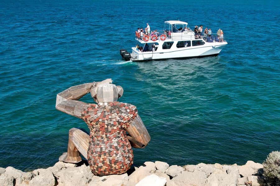 Mandurah: Dolphin & Giant Sightseeing Cruise - Watching Mandurah’s wild dolphins
