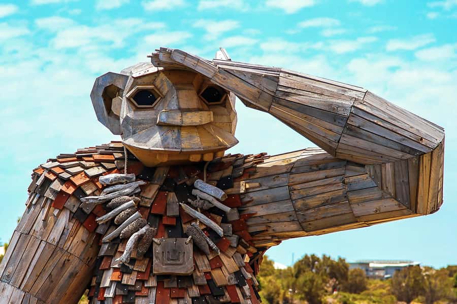 Mandurah: Dolphin & Giant Sightseeing Cruise - Wetlands, pelicans, and ospreys