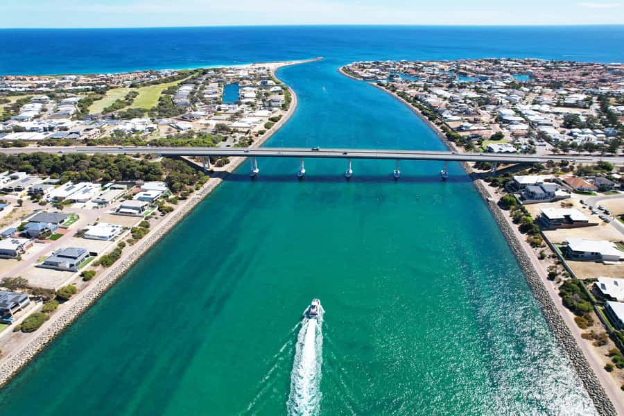 Mandurah: Dolphin & Giant Sightseeing Cruise - The exclusive view of Seba’s Song