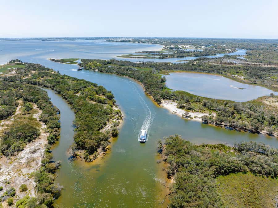 Mandurah: Murray River Lunch Cruise - How much value do you get for $112?