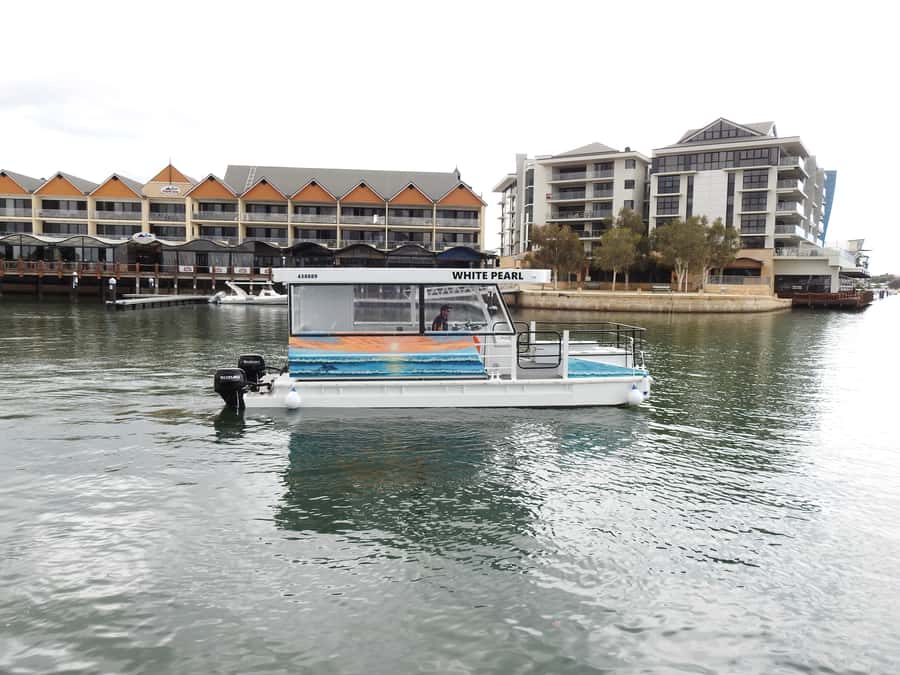 Mandurah: Sightseeing Dolphin Cruise with Tour Guide - Key points to know before you book