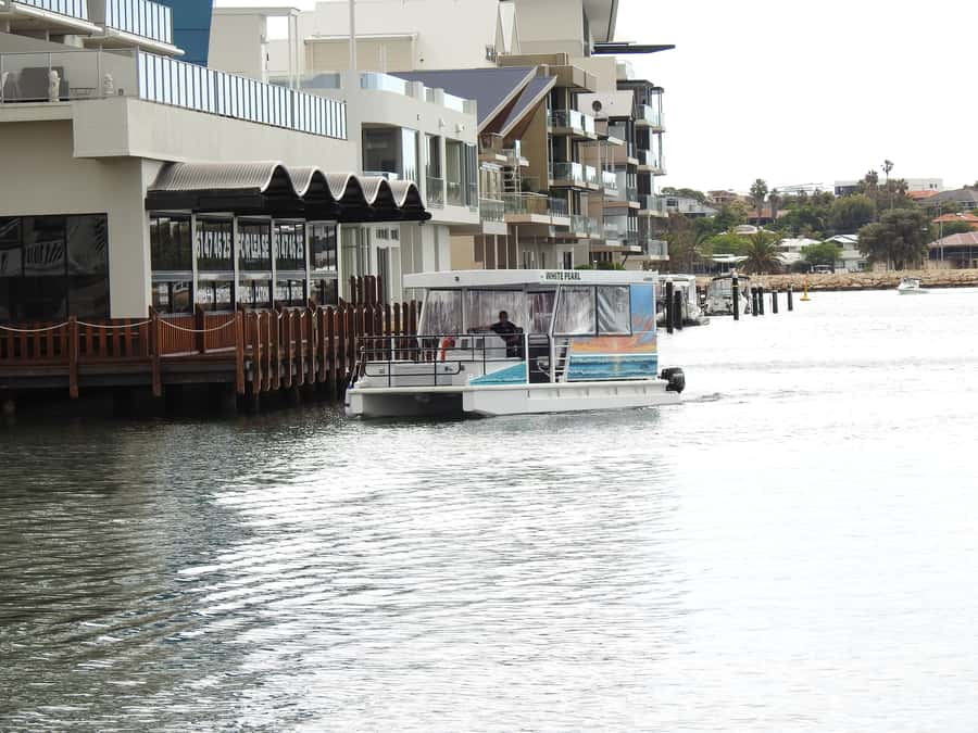 Mandurah: Sightseeing Dolphin Cruise with Tour Guide - Why Mandurah’s waterways are worth seeing