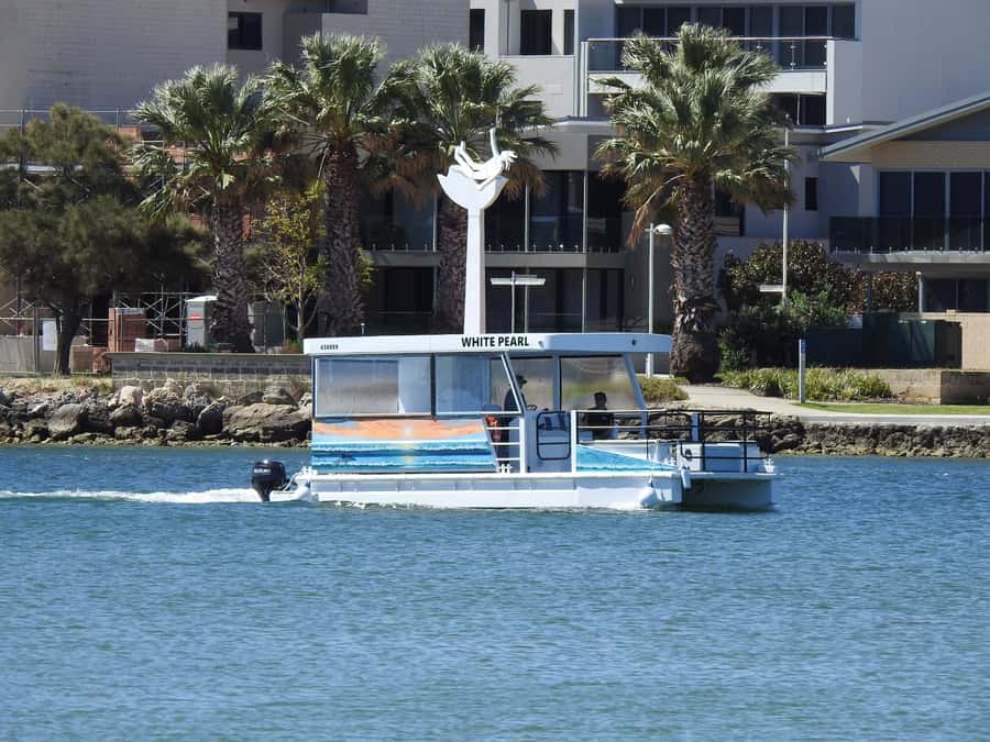 Mandurah: Sightseeing Dolphin Cruise with Tour Guide - Dolphin Quay and Mandurah’s boat scene