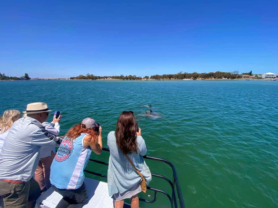 Mandurah: Sightseeing Dolphin Cruise with Tour Guide - The White Pearl and the pace of the ride