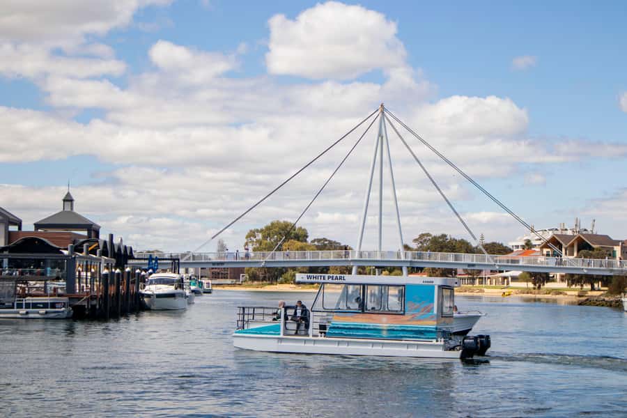 Mandurah: Sightseeing Dolphin Cruise with Tour Guide - What the $26 price really buys you
