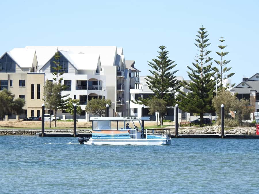 Mandurah: Sightseeing Dolphin Cruise with Tour Guide - Who will enjoy this cruise most?