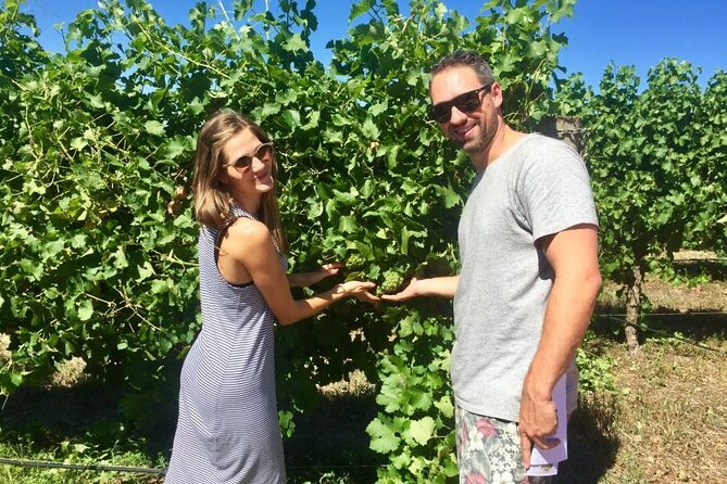 Margaret River Beer & Wine Adventure (departs Dunsborough/Busselton) - The brewery stop, chocolate, and route extras